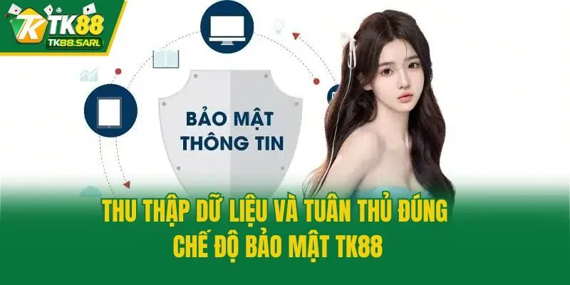 Thu thập dữ liệu và tuân thủ đúng chế độ bảo mật TK88