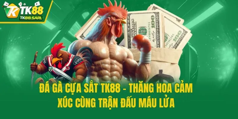 Đá Gà Cựa Sắt TK88 - Thăng Hoa Cảm Xúc Cùng Trận Đấu Máu Lửa